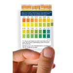 AquaNatura pH Teststreifen für Urin & Speichel (100 Stück)